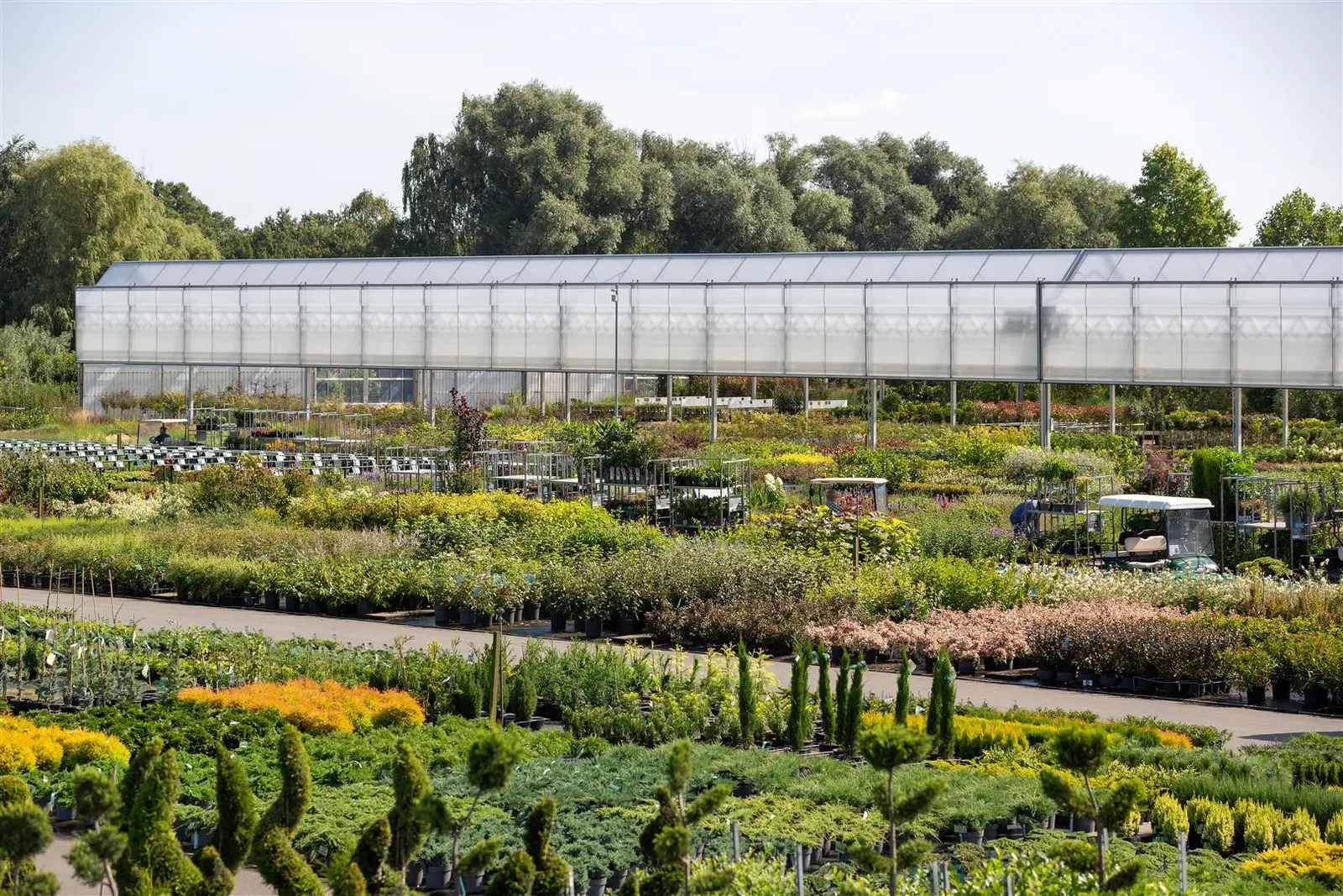 Openingstijden Cash & Carry