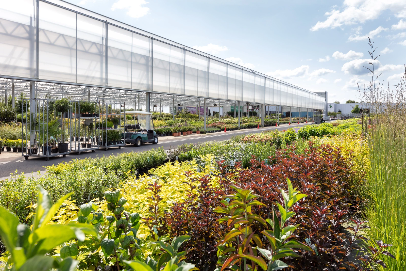 Cash & Carry Koopzondagen