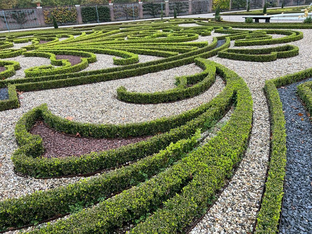 BetterBuxus®